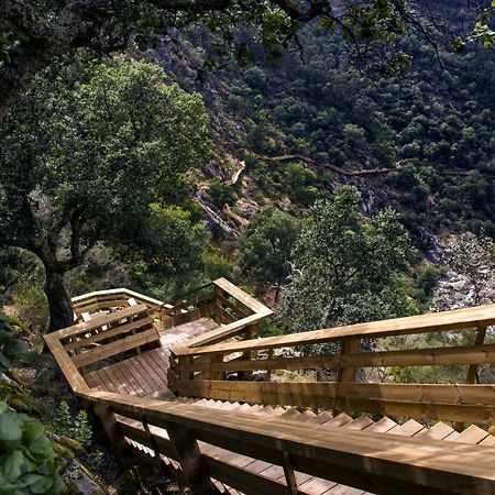 Casa Do Gaio-Turismo De Natureza Arouca Dış mekan fotoğraf