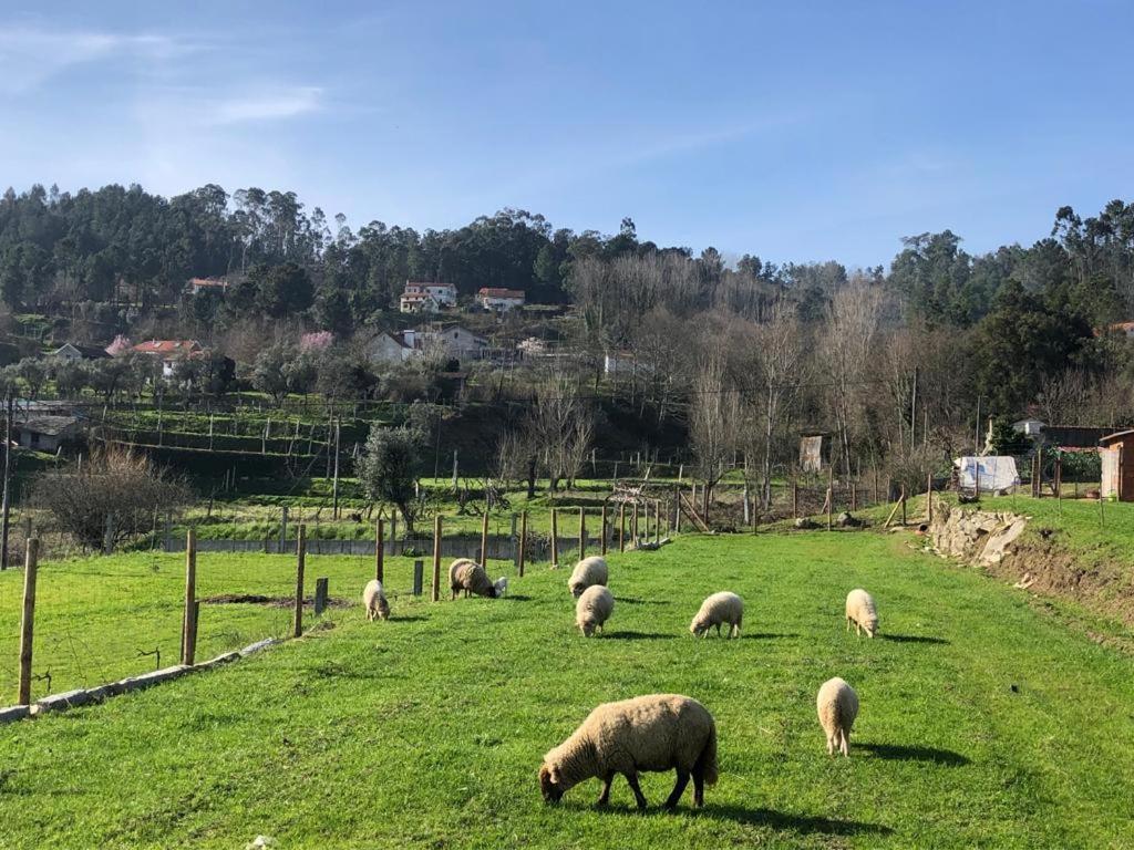 Casa Do Gaio-Turismo De Natureza Arouca Dış mekan fotoğraf