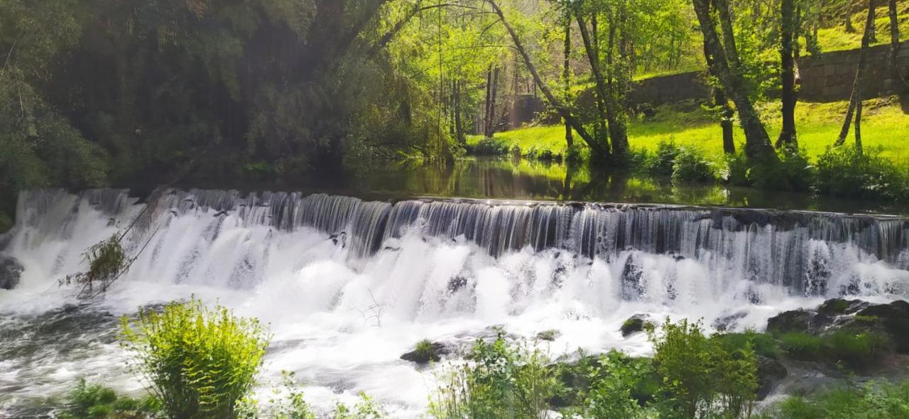 Casa Do Gaio-Turismo De Natureza Arouca Dış mekan fotoğraf