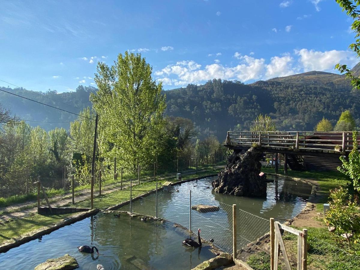 Casa Do Gaio-Turismo De Natureza Arouca Dış mekan fotoğraf