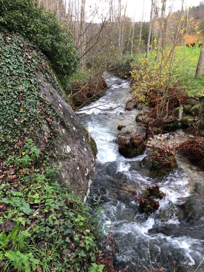 Casa Do Gaio-Turismo De Natureza Arouca Dış mekan fotoğraf