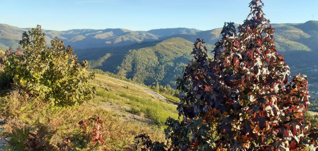 Casa Do Gaio-Turismo De Natureza Arouca Dış mekan fotoğraf